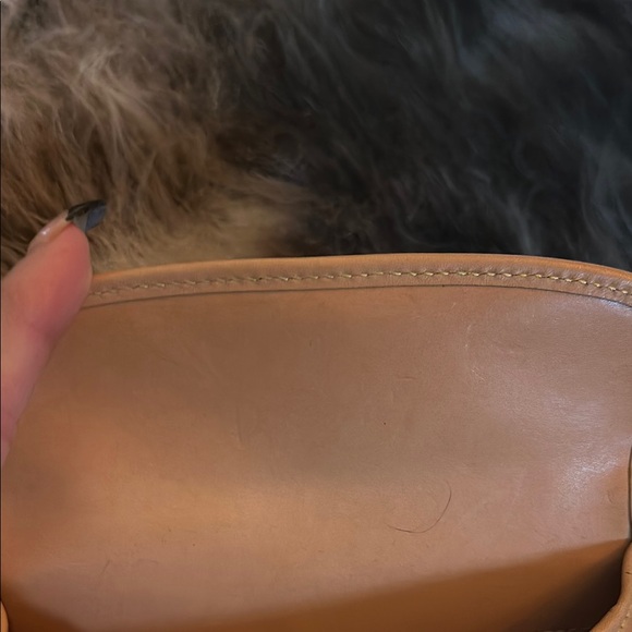 Dooney & Bourke Tan and Green Women's Bag **stain** - Picture 4 of 8